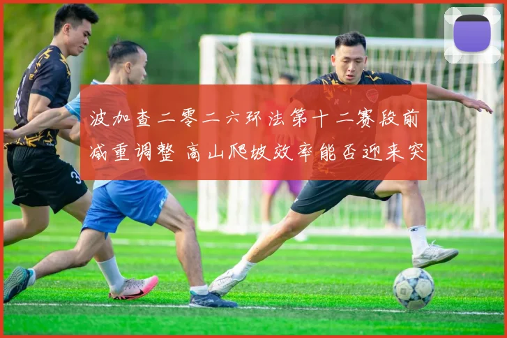 波加查二零二六环法第十二赛段前减重调整 高山爬坡效率能否迎来突破
