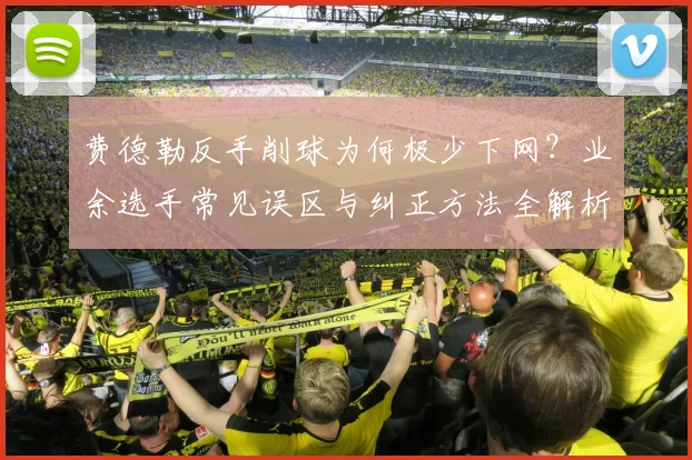 费德勒反手削球为何极少下网?业余选手常见误区与纠正方法全解析