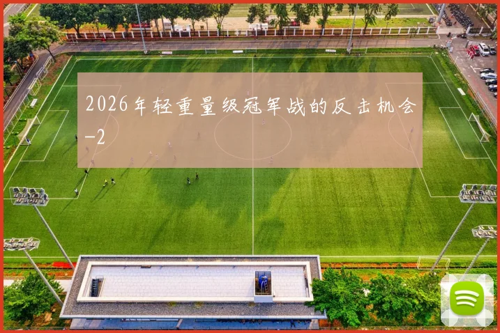 2026年轻重量级冠军战的反击机会