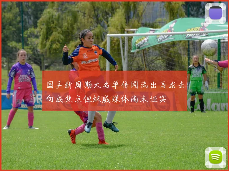 国乒新周期大名单传闻流出马龙去向成焦点但权威媒体尚未证实