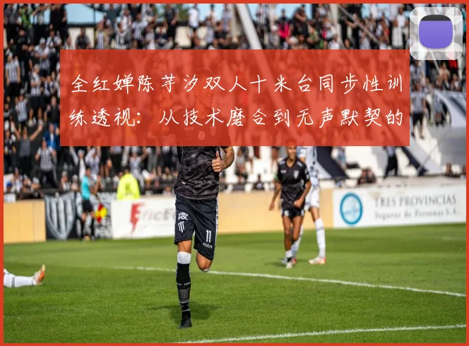全红婵陈芋汐双人十米台同步性训练透视：从技术磨合到无声默契的进阶之路